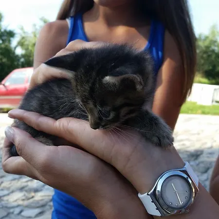 Vakantieboerderij Country & La Quercia