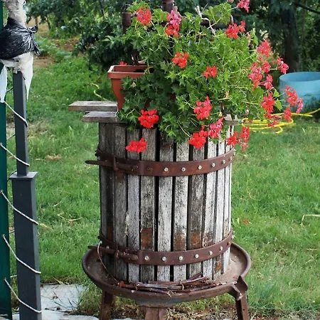 Country & La Quercia Vakantieboerderij *