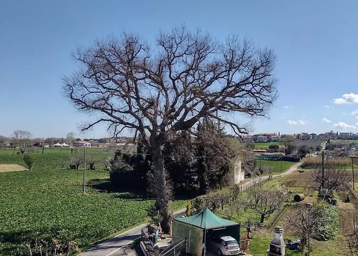 Country & La Quercia Κοριάνο