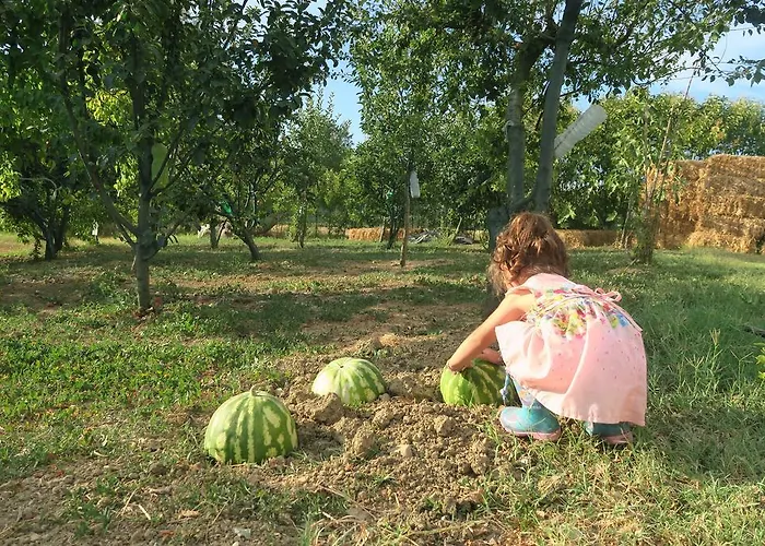 Country & La Quercia *