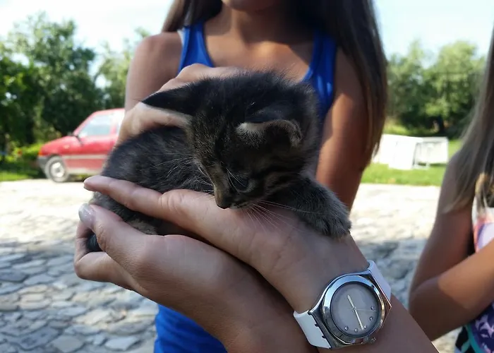 Κατάλυμα σε φάρμα Country & La Quercia
