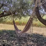 Country & La Quercia Bauernhof