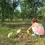 Country Rooms&suite La Quercia *