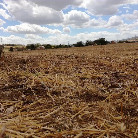 Country & La Quercia Çiftlik konaklama *