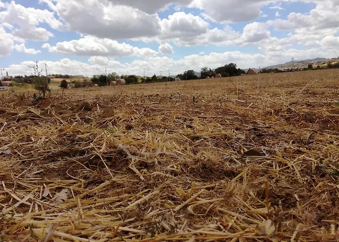 Country & La Quercia Gospodarstwo agroturystyczne *