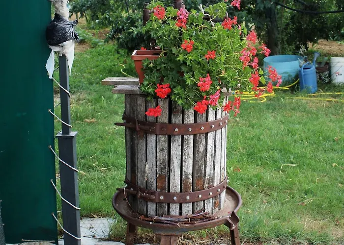 Country & La Quercia Gospodarstwo agroturystyczne *